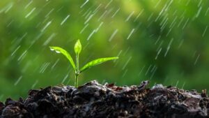 Chuva avança pelo Brasil, mas fim de outubro será quente e seco