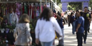 Desemprego no trimestre cai para menor taxa da série histórica