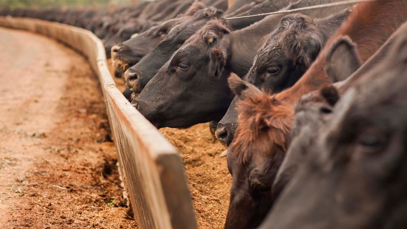 EUA vão incentivar abertura de novas áreas para pecuária