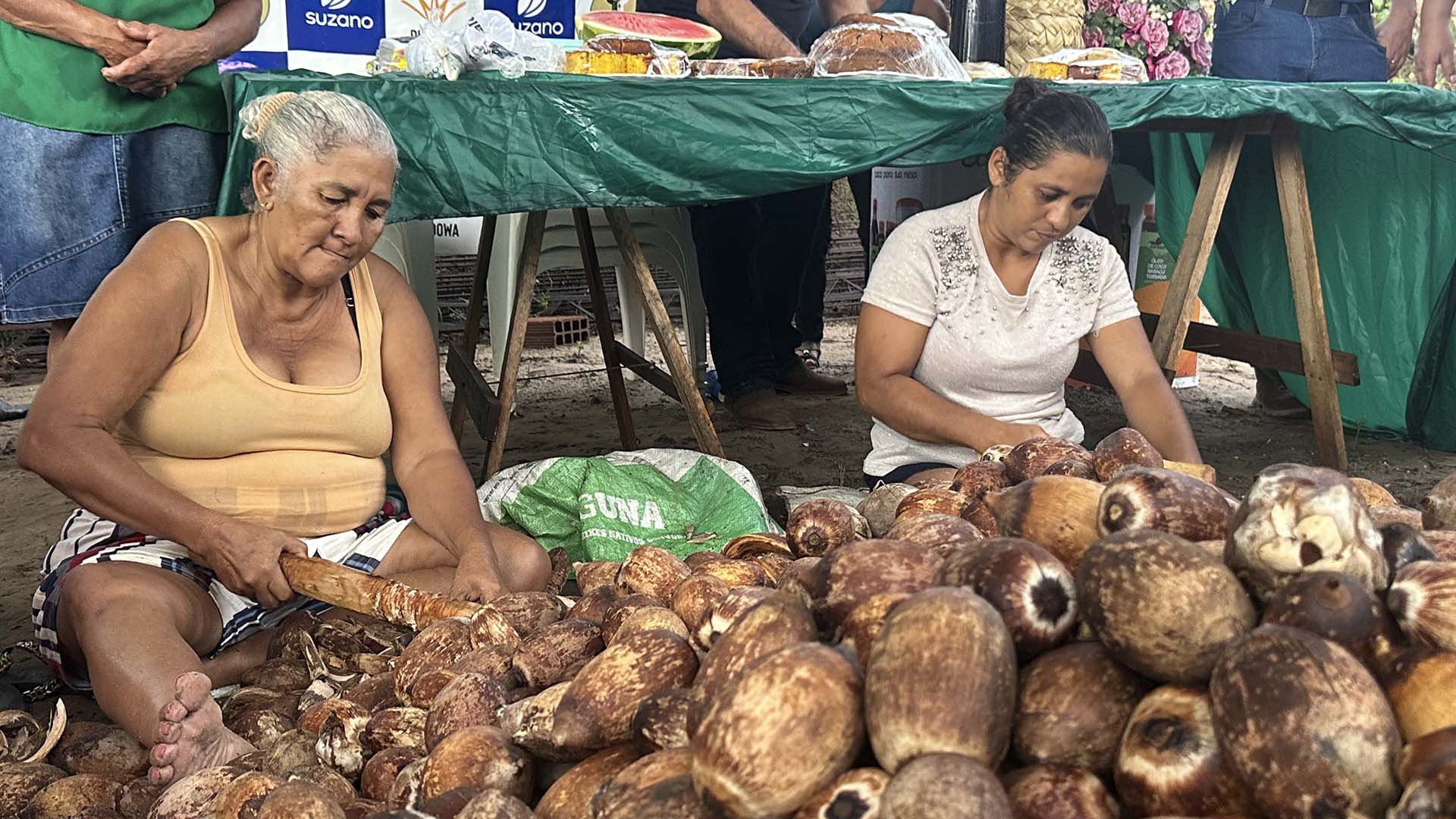 Na terra do babaçu, as quebradeiras cultivam a nova geração