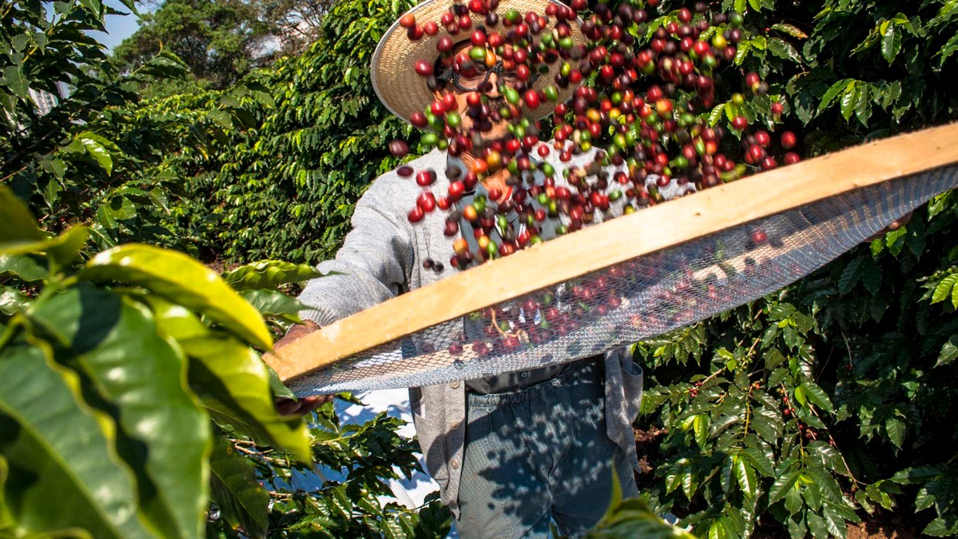 No café, reposição dos estoques pode aliviar preços