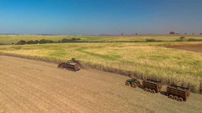 O arsenal da Tereos para descarbonizar — e atender a Europa