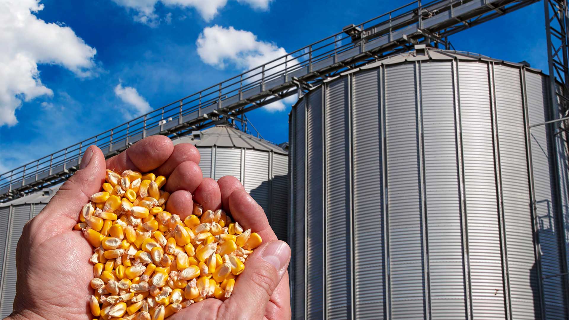 O mapa do etanol de milho cresceu — e vai expandir ainda mais