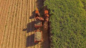 Produtividade da cana cai 6,5% até setembro, aponta CTC