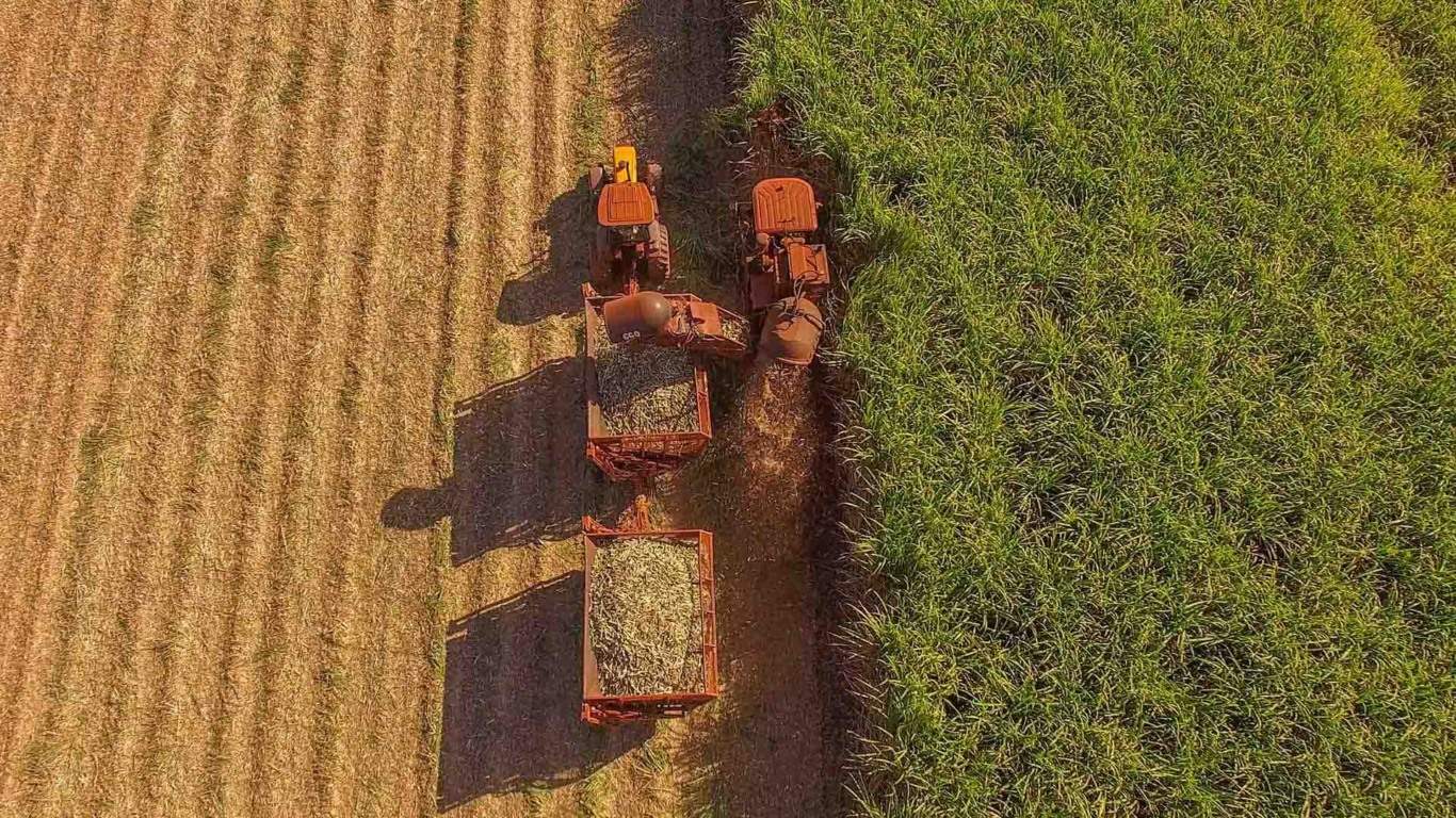 Produtividade da cana cai 6,5% até setembro, aponta CTC