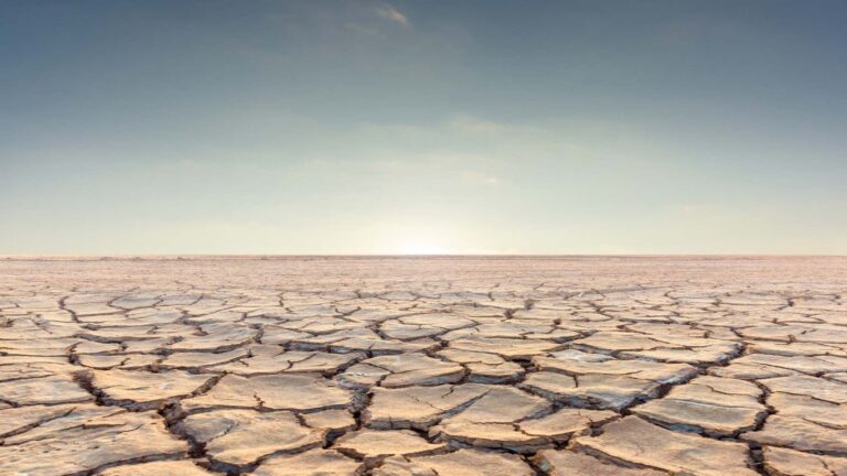 Quando o juro seca o campo