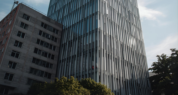 SNFF11: lucros impressionantes e dividendos atraentes surpreendem cotistas