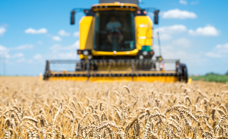 São Martinho (SMTO3): Nova fase e tendência sugere que ainda não é tarde para entrar