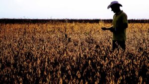 BB ainda vê alta em RJs e vai protocolar pedidos de falência