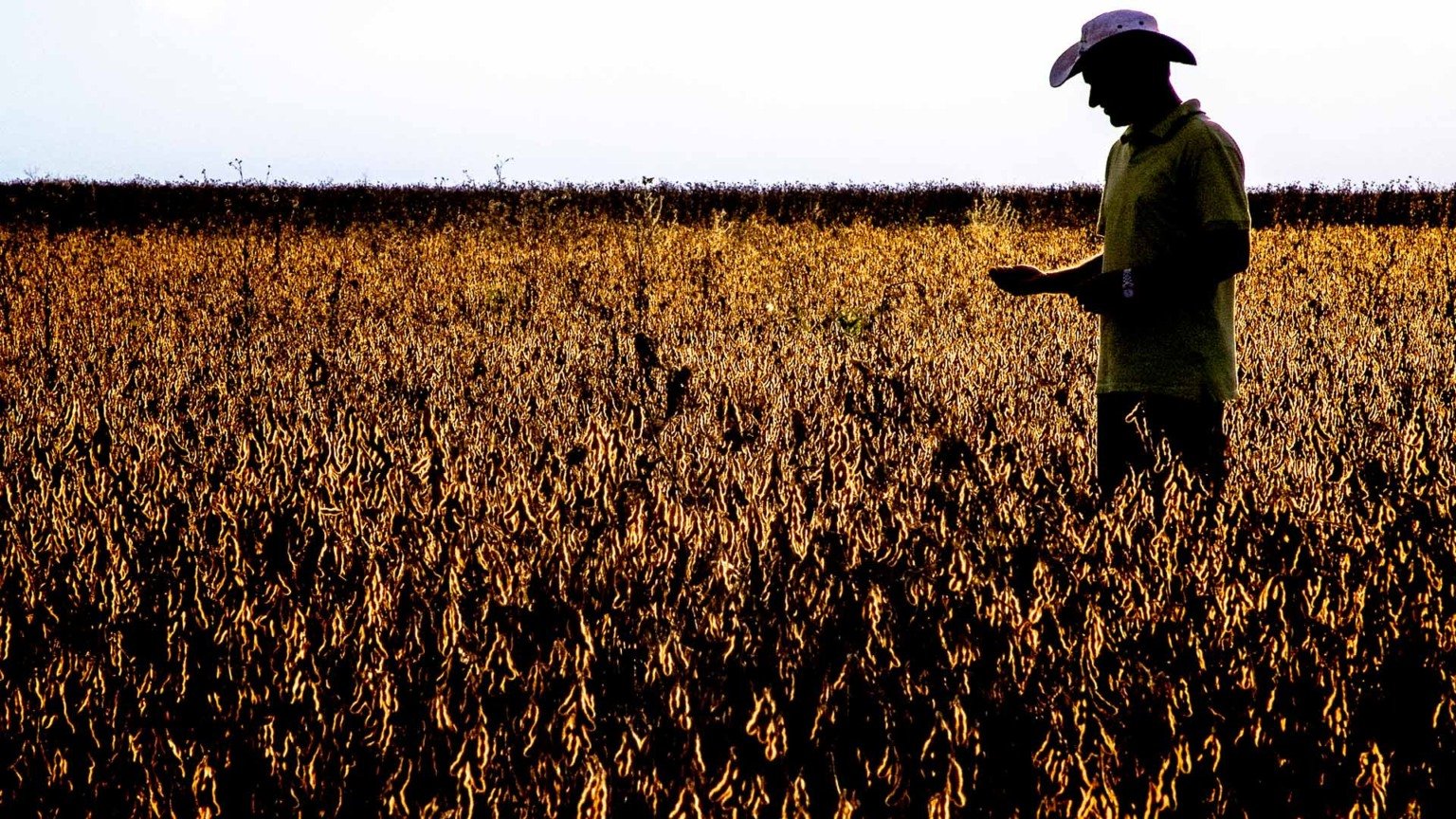 BB ainda vê alta em RJs e vai protocolar pedidos de falência