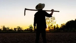 BC mostra o tamanho da secura de crédito ao produtor rural