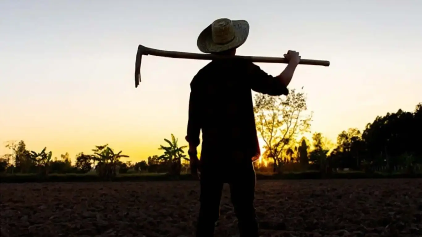 BC mostra o tamanho da secura de crédito ao produtor rural