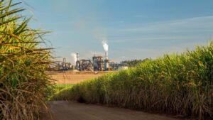 Brazil May Trade Ethanol Tariffs for U.S. Cuts on Beef and Coffee