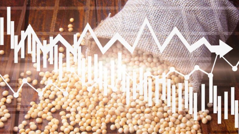 Longe das projeções do mercado, Boa Safra desaba 15% na bolsa