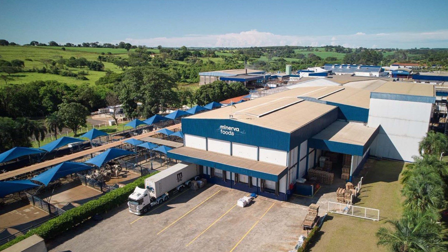 O que explica o tombo da Minerva? As dúvidas no capital de giro