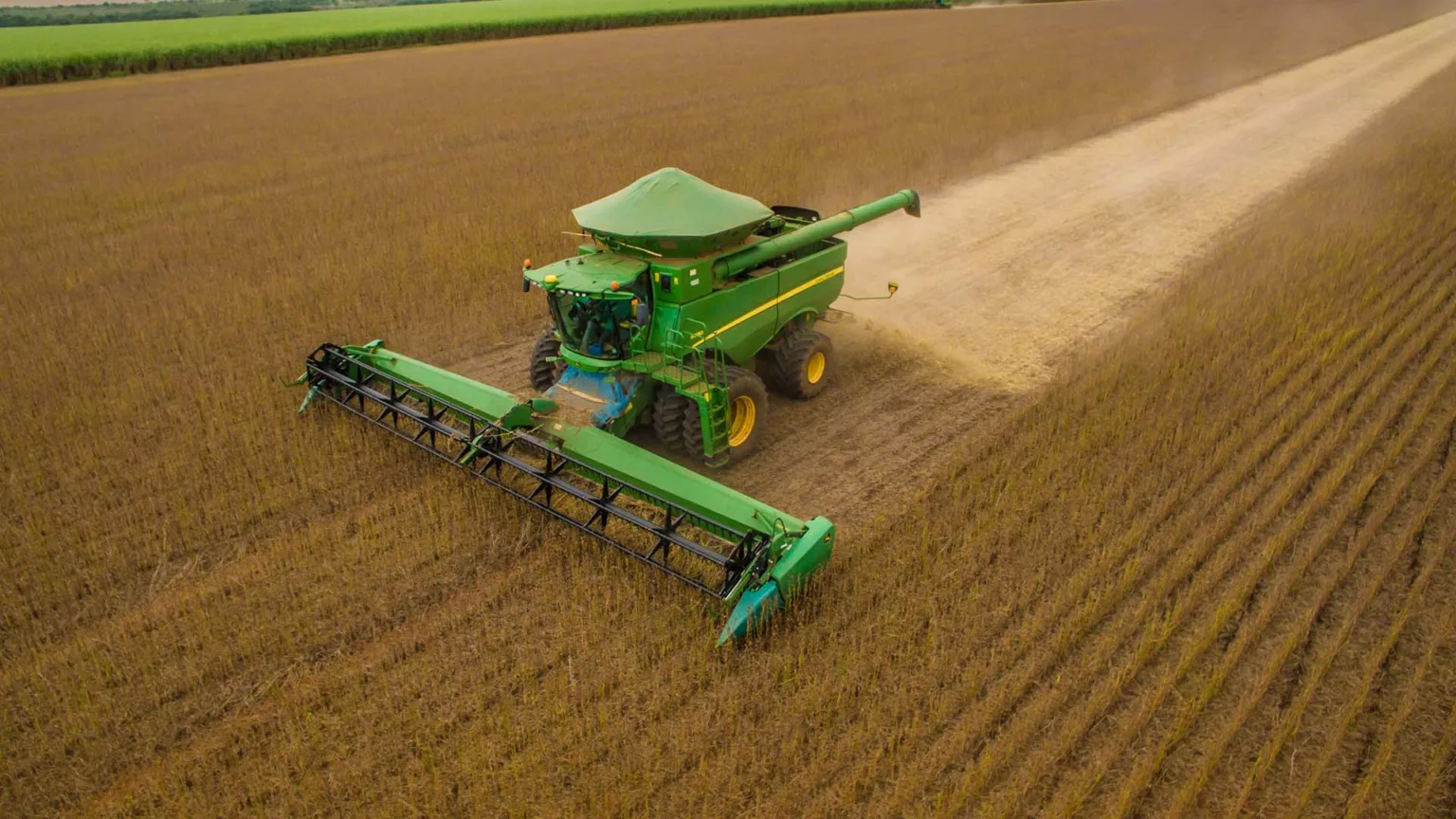 Para a SLC, balanço global de soja vai ficar mais apertado