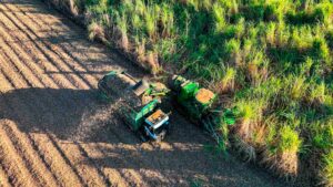 Raízen vende mais uma usina e soma R$ 4 bi em reestruturação