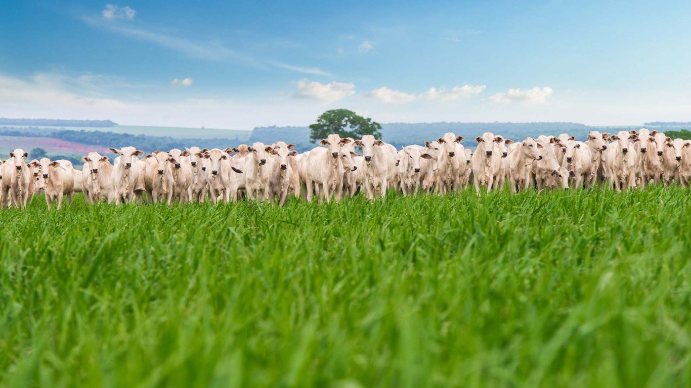 Transição energética ou recuperação de áreas degradadas? Para o GIC, os dois