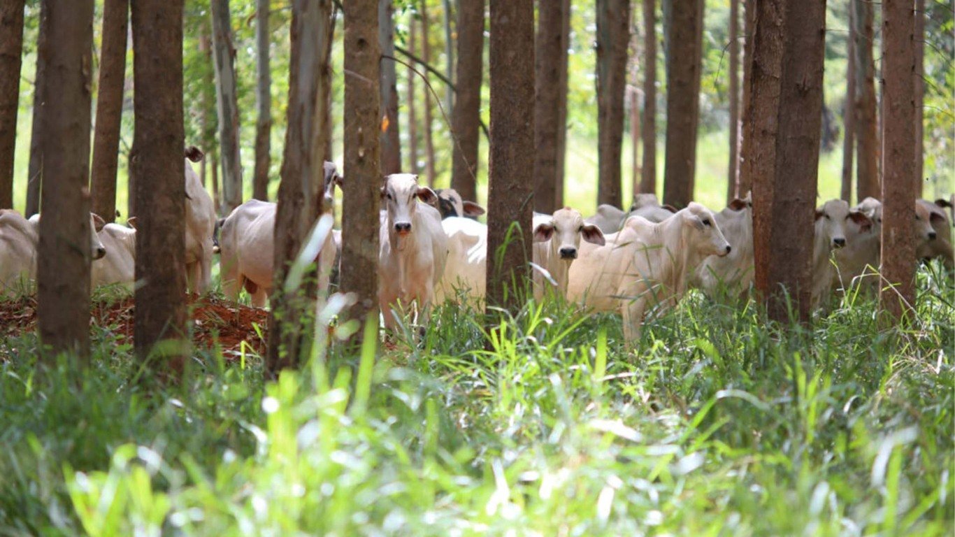 Vox levanta US$ 50 mi para financiar a transição da agricultura
